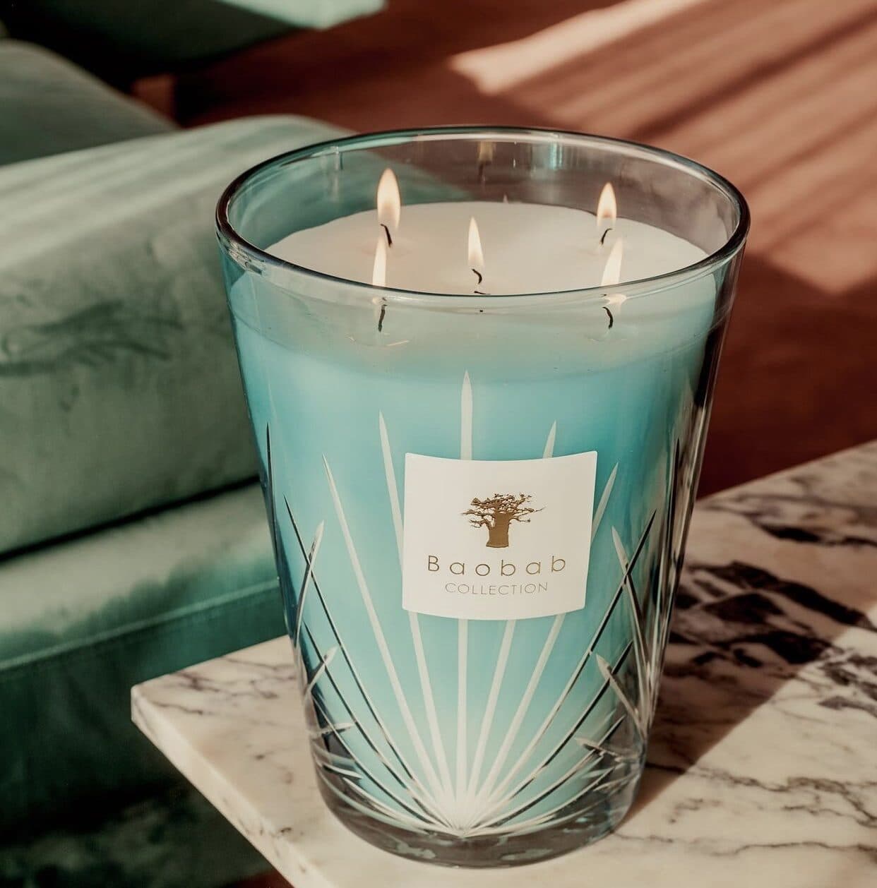 BOUGIE PALM – PALM SPRINGS