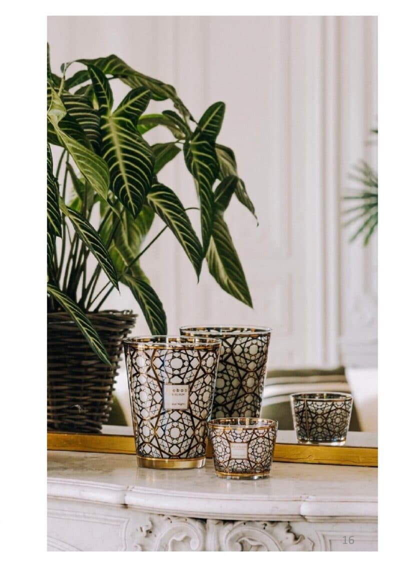 Arabian Night — Arabian Night, Baobab Collection