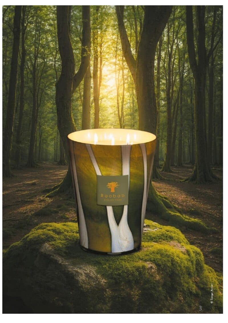 Sherwood — Woods, Baobab Collection