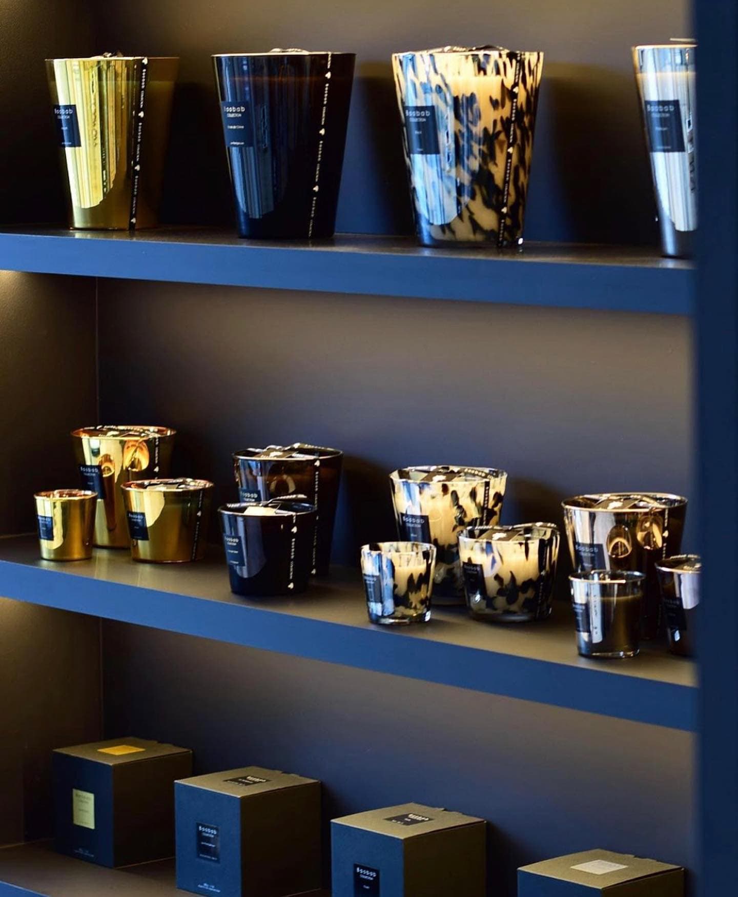 Bougies et diffuseurs Baobab Collection dans la boutique Tendance Inside